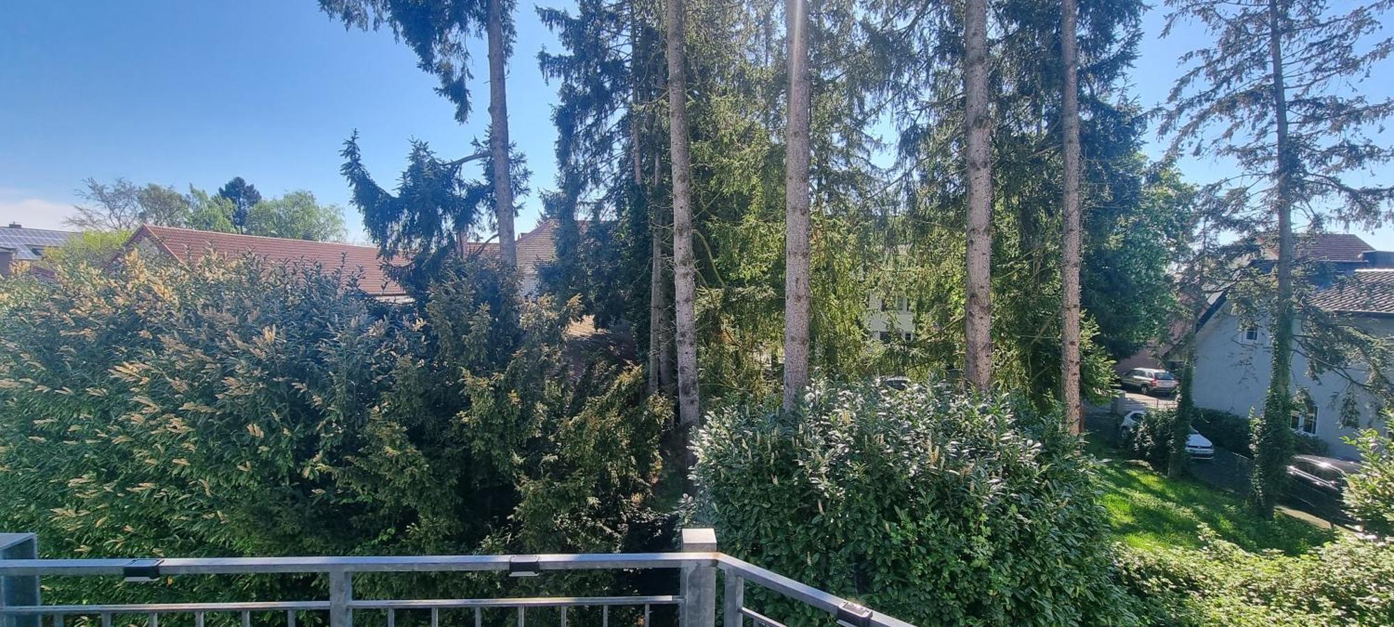 Ferienwohnung Am Kurwald In Bad Lippspringe Exterior foto